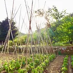 Casa Celestine In Via Orsini Liguria Italy Sleeps 5 別荘