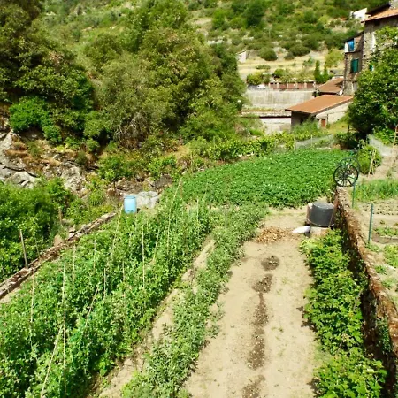 Casa Celestine In Via Orsini Liguria Italy Sleeps 5 別荘 Isolabona