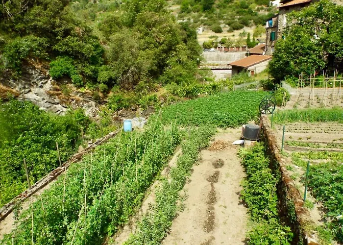 Casa Celestine In Via Orsini Liguria Italy Sleeps 5 Feriehus Isolabona