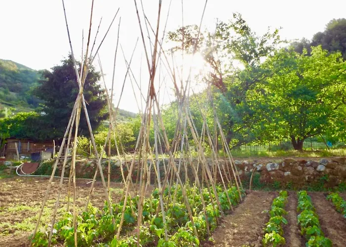 Casa Celestine In Via Orsini Liguria Italy Sleeps 5 Feriehus